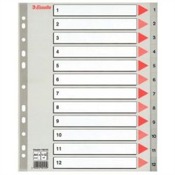 Regiszter, manyag, A4 Maxi, 1-12, ESSELTE, szrke