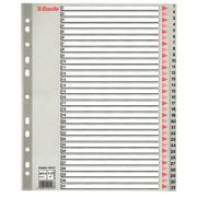  Regiszter, manyag, A4 Maxi, 1-31, ESSELTE, szrke