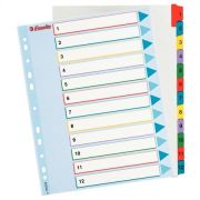  Regiszter, laminlt karton, A4 Maxi, 1-12, jrarhat, ESSELTE